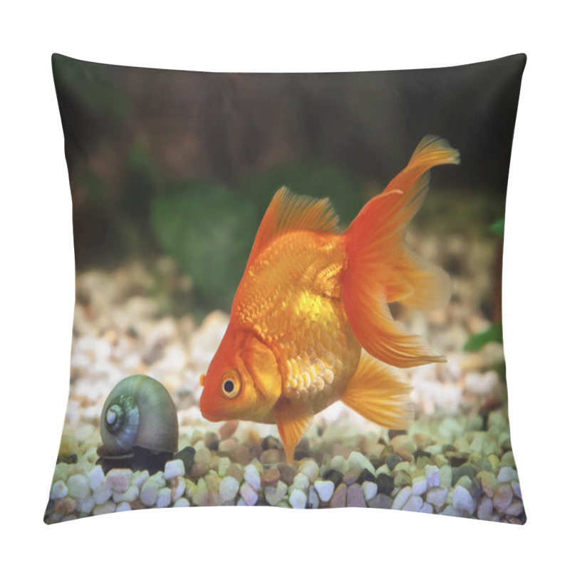 Personality  Goldfish In Aquarium With Green Plants, And Stones Pillow Covers