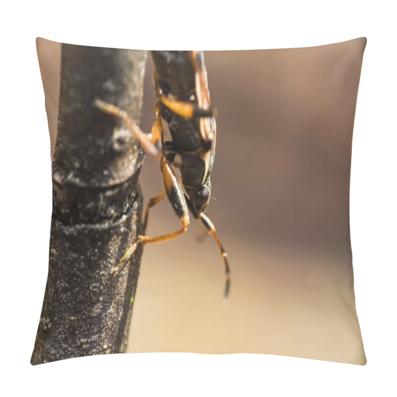 Personality  Rhyparochromidae Sits On A Branch. Macro Photo Of An Insect Pillow Covers