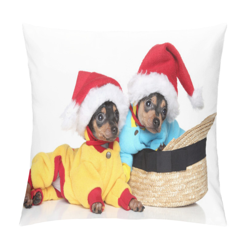 Personality  Toy Terrier Puppies In Christmas Hats Pillow Covers