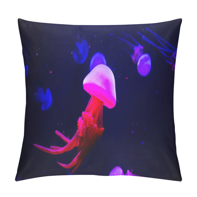 Personality  Bright Transparent Neon Jellyfish In The Aquarium. Dark Backgrou Pillow Covers