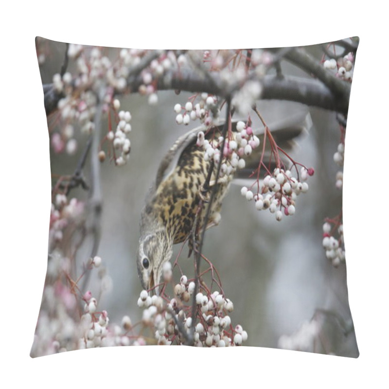 Personality  Mistle Thrush Feeding On Winter Berries Pillow Covers