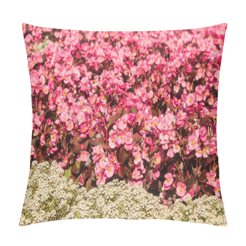 Personality  Pink Wax Begonia Flowerbed Pillow Covers