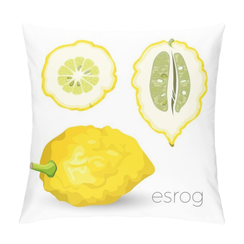 Personality  Delicious Exotic Sour Esrog Fruit With Rough Skin Pillow Covers