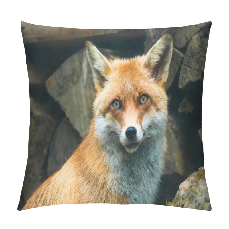 Personality  Red Fox Pillow Covers