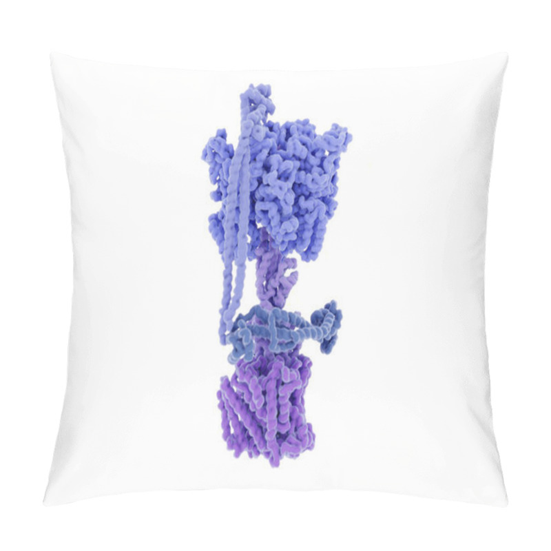 Personality  From Bottom To Top: Fo-subunit (violet), Axle-element (light Violet), The Stator Element (light Blue), And ATP Synthesis Takes Place In The Upper F1-subunit (blue).   Pillow Covers