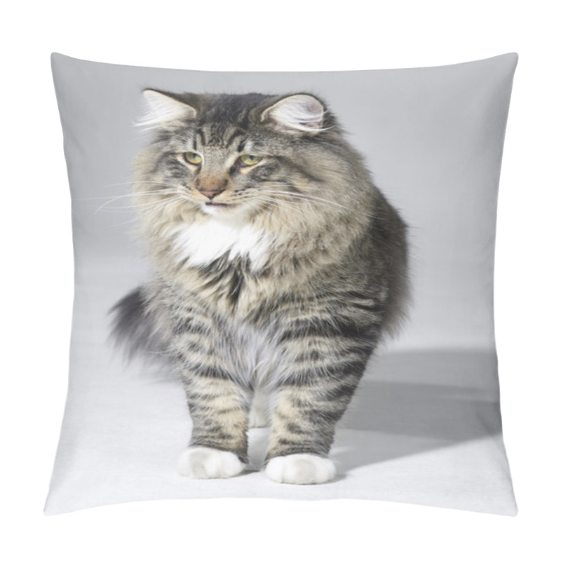 Personality  Tabby Norwegian Forest Cat Pillow Covers