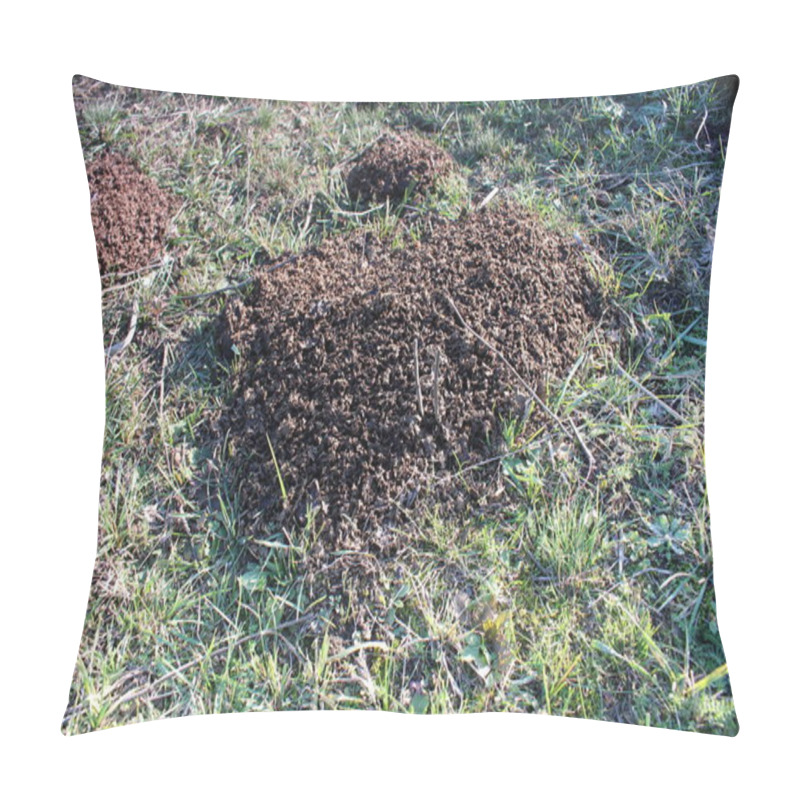 Personality  Large Group Of Black Ants Pillow Covers