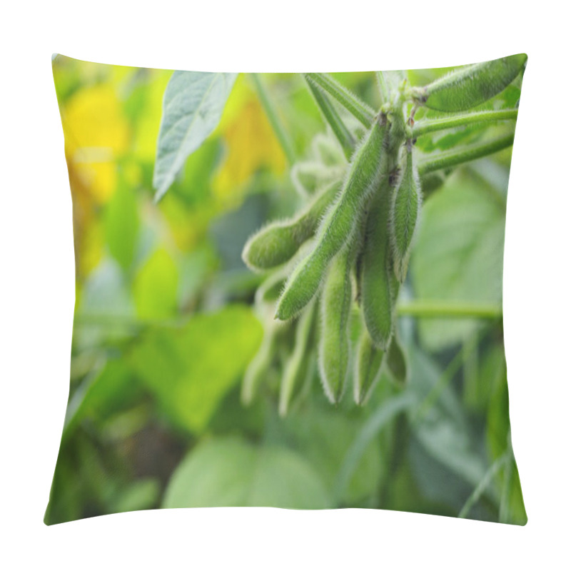 Personality  Soybean Pillow Covers