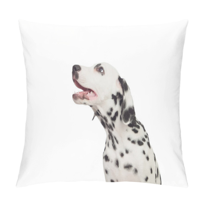 Personality  Beautiful Dalmatian With Black Spotted Pillow Covers