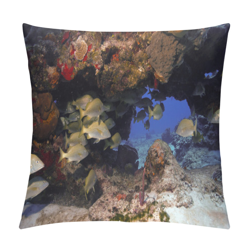 Personality  Cozumel Reef Pillow Covers