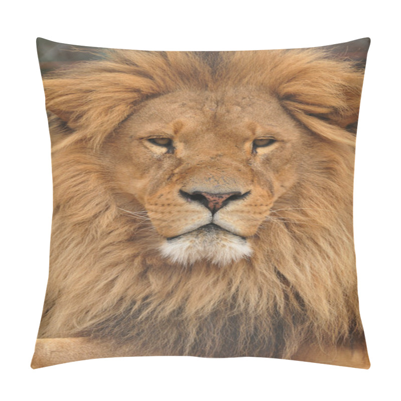 Personality  Lion Pillow Covers