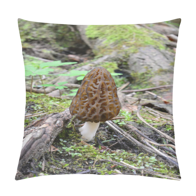 Personality  Black Morel Or Morchella Conica Mushroom Growing In Early Spring Among Roots, Moss And Spring Vegetation In Mountain Coniferous Forest, Vertical Orientation, Close Up View Pillow Covers