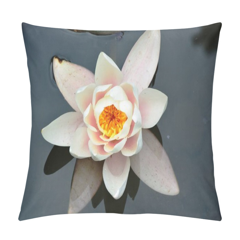 Personality  Nuphar Floating On The Water Pillow Covers