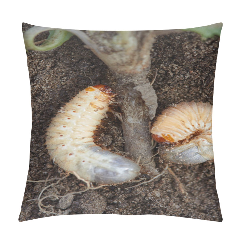 Personality  Pests Control, Insect, Agriculture. Larva Of Chafer Eats Plant Root. Pillow Covers