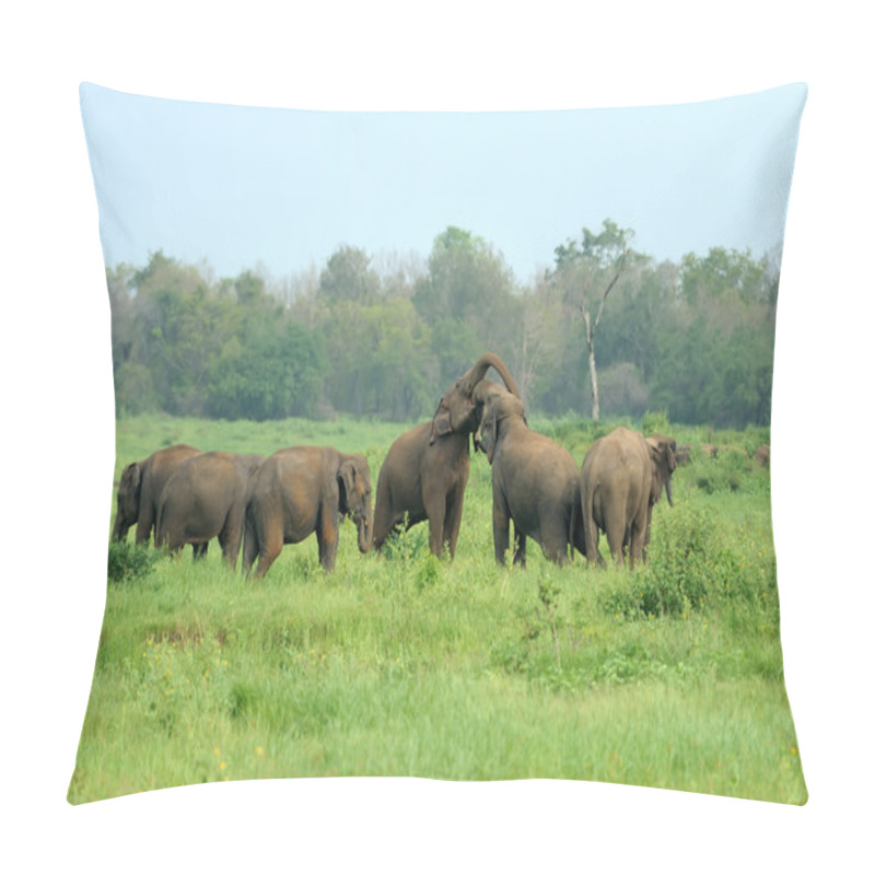 Personality  Elephants Pillow Covers