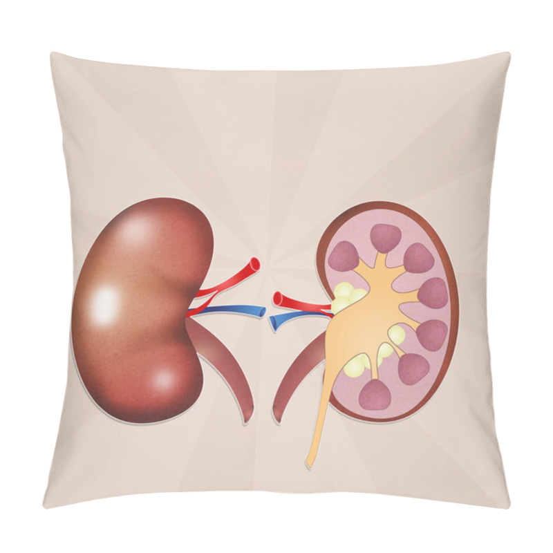 Personality  Kidneys Pillow Covers