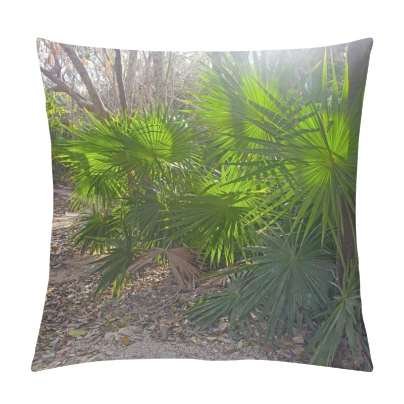 Personality  Early Morning In Park Near Tulum Ruins, Mexico Pillow Covers