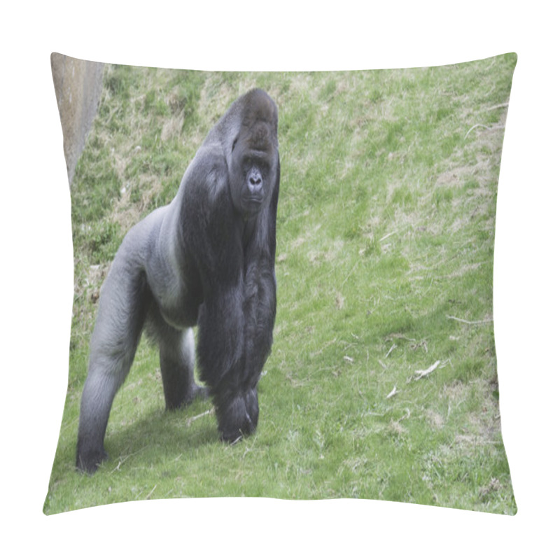 Personality  Big Gorilla Showing His Power Pillow Covers