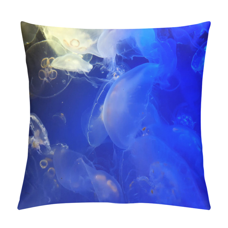 Personality  Many Transparent Jellyfish In The Aquarium Pillow Covers