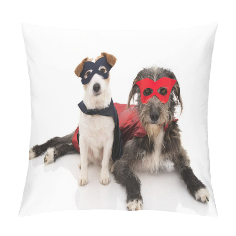 Personality  TWO DOGS SUPER HERO COSTUME. JACK RUSSELL AND PUREBRED WEARING A Pillow Covers