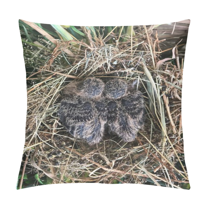 Personality  A Close-up View Of Two Newborn Birds Comfortably Huddled In A Nest Made Of Twigs And Straw, Surrounded By Green Foliage, Symbolizing New Life And Natural Innocence. Pillow Covers