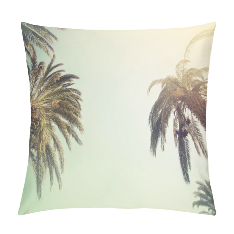 Personality  Scenic View Of Beautiful Palm Leaves Against Sky Pillow Covers