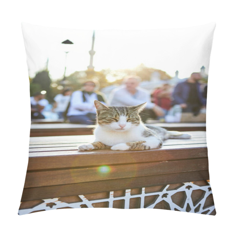 Personality  Cat On The Street Of Istanbul, Turkey Pillow Covers