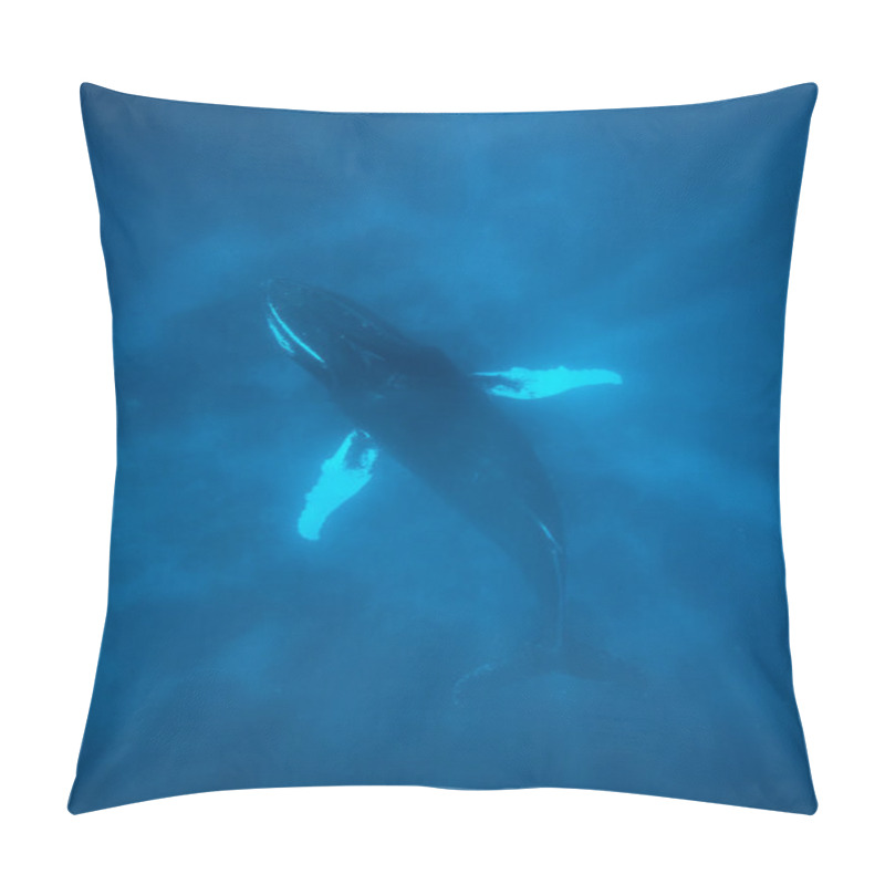 Personality  Humpback Whale In Deep Water Pillow Covers