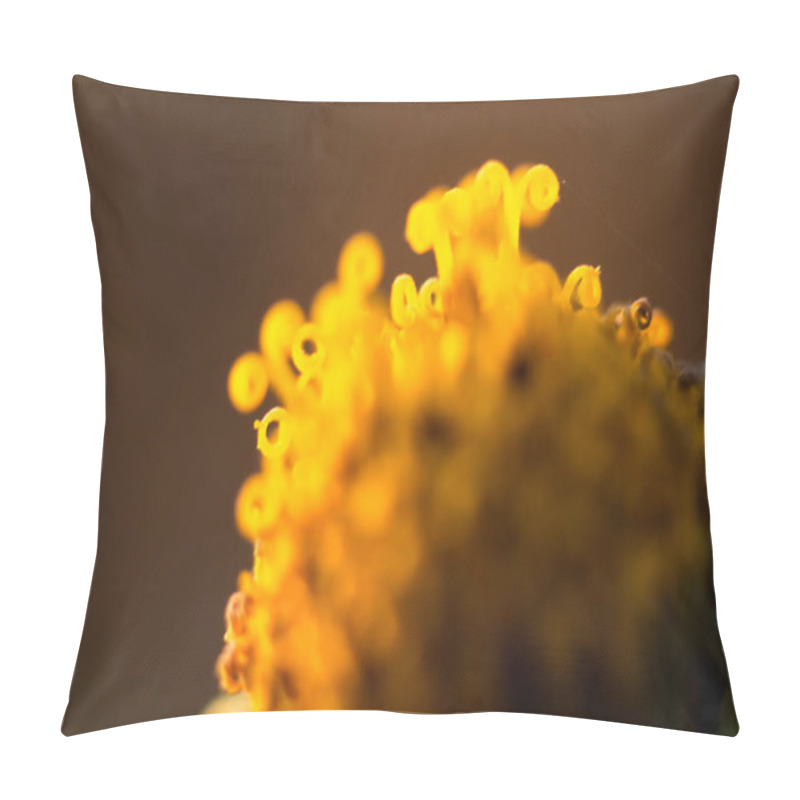 Personality  Close-up Of A Vibrant Yellow Jerusalem Artichoke Flower, Showcasing The Intricate Beauty And Bright Colors Of This Herbaceous Bloom Pillow Covers