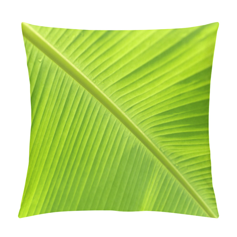 Personality  Close Up Of Fresh Banana Leaf Pillow Covers