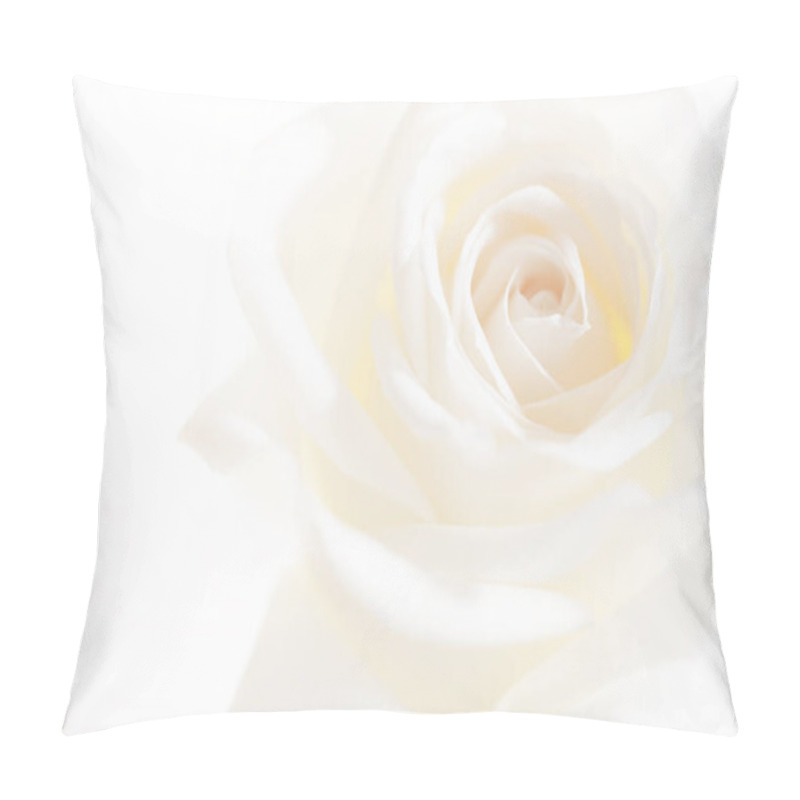 Personality  Rose Flowers Close Up On Background. Pillow Covers