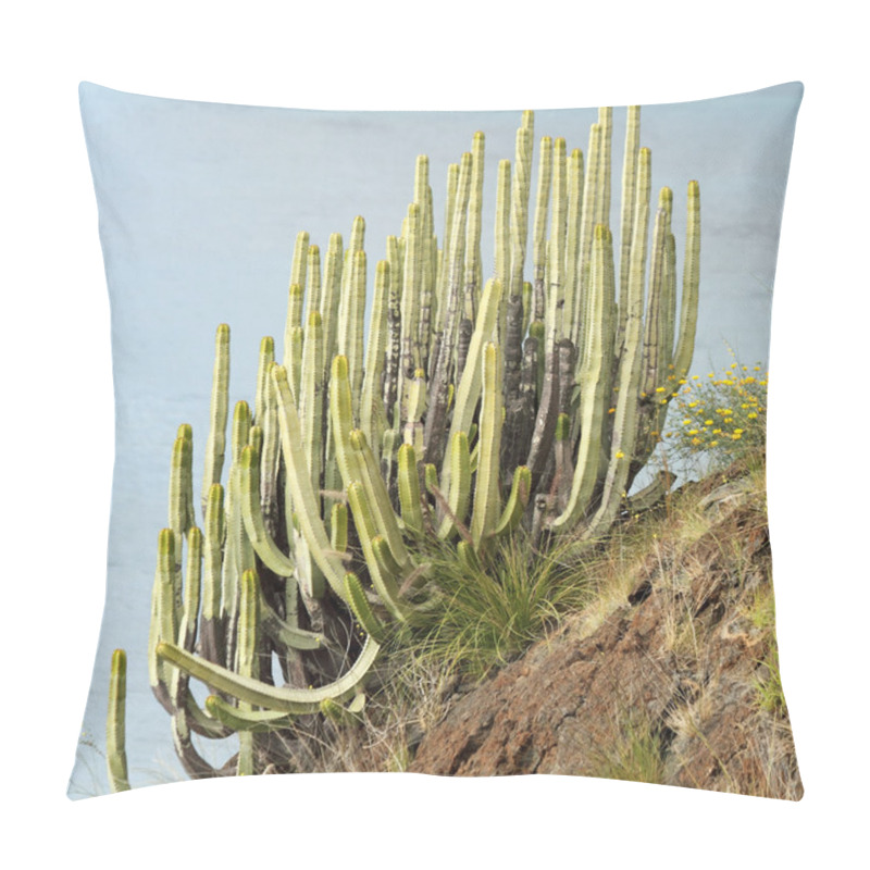 Personality  Succulent  On Steep Cliff Pillow Covers