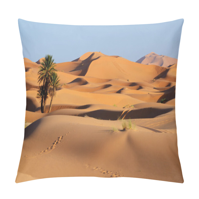 Personality  Morocco. Sand Dunes Of Sahara Desert Pillow Covers