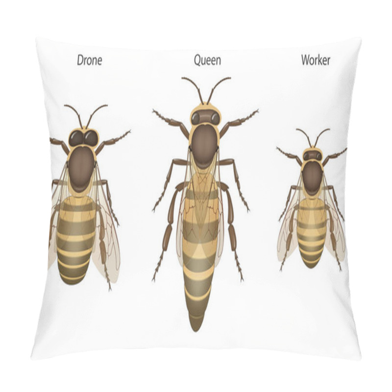 Personality  Honey Bee Biology: Queens, Drones And Workers Pillow Covers