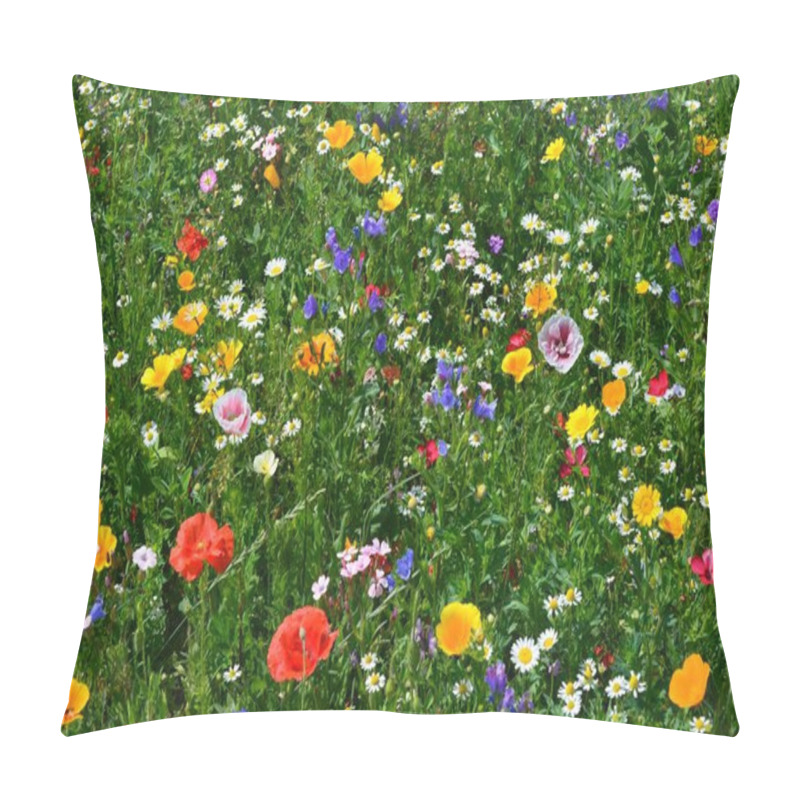 Personality  Summer Meadow Flowers, Flora And Nature Pillow Covers