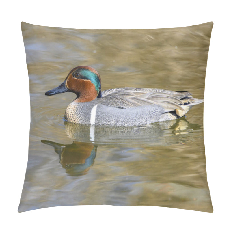 Personality  Beautiful Green Winged Teal Male Duck Swimming In The Lake. The Bird Displaying It's Stunning Green And Orange Head . Yellow Water. Nice Reflection Pillow Covers