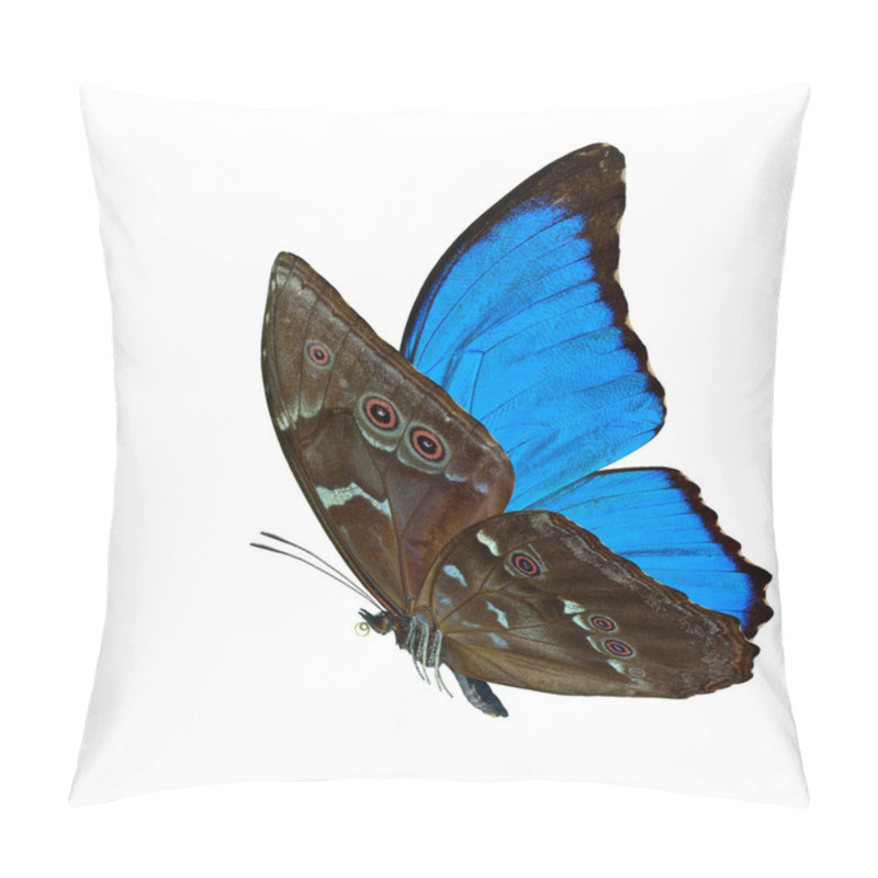 Personality  Beautiful Flying Blue Butterfly, The Blue Morpho With Fully Wings Sweeping Isolated On White Background, Amazing Nature Pillow Covers