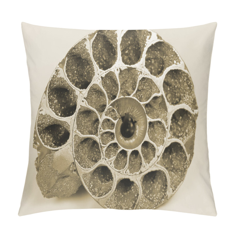 Personality  Cockleshell (fossil) Pillow Covers