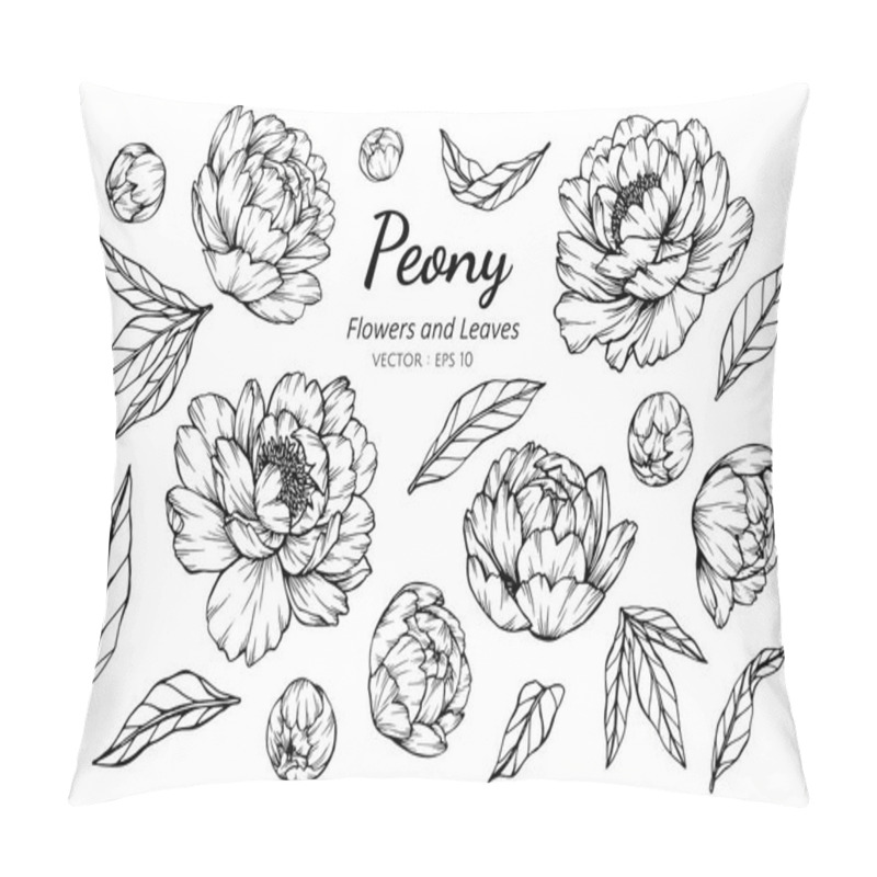 Personality  Collection Set Of Peony Flower And Leaves Drawing Illustration. Pillow Covers