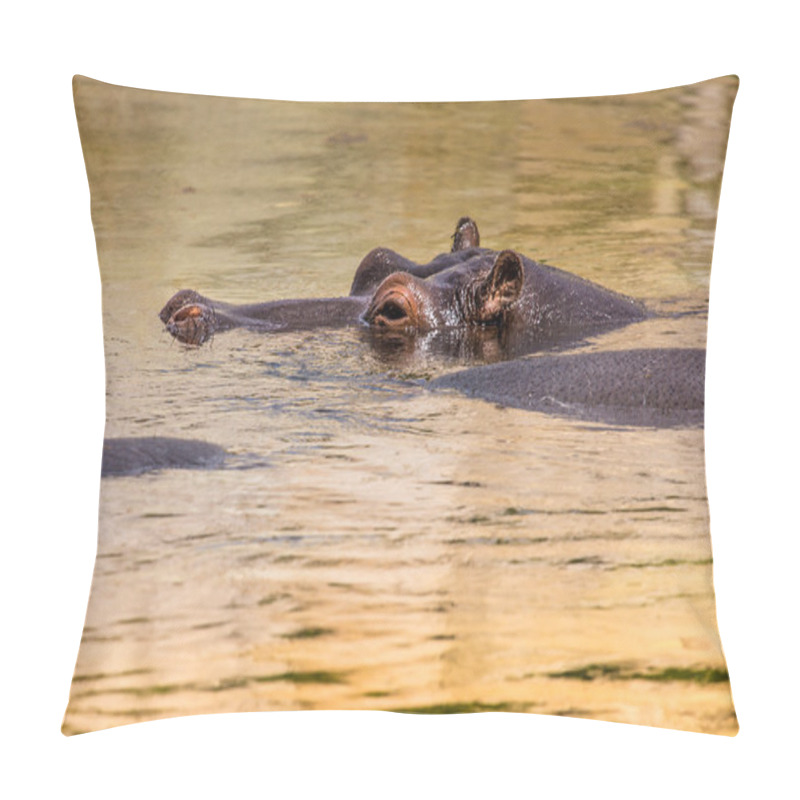 Personality  African Hippo In Their Natural Habitat. Kenya. Africa. Pillow Covers