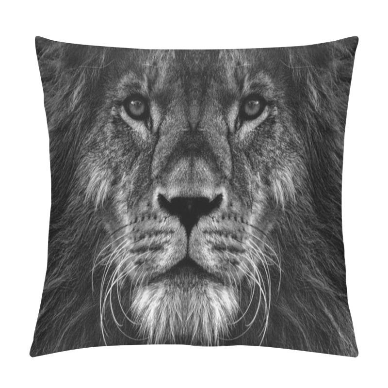 Personality  Portrait Of Beautiful African Lionin Black And White. Pillow Covers