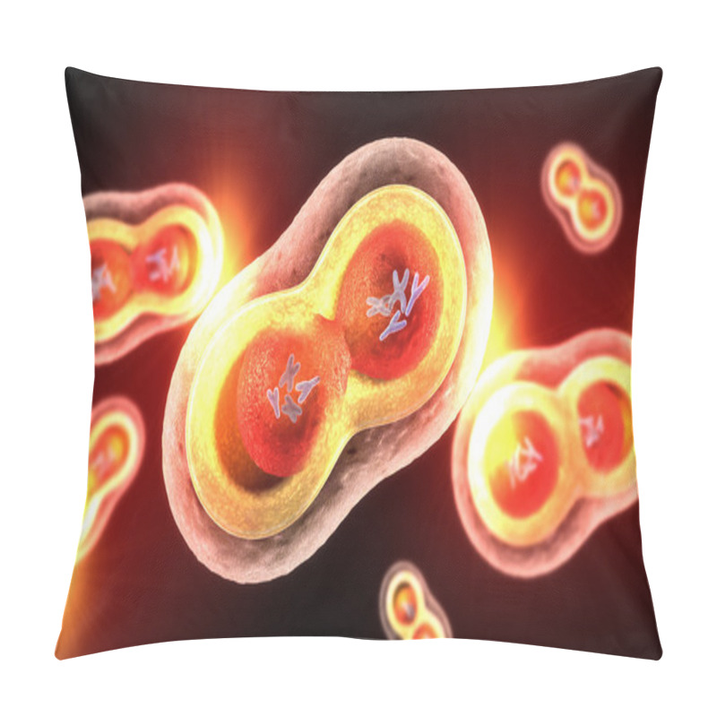 Personality  Transparent Cells With Splitting Nucleus, Cell Membrane And Visible Chromosomes Pillow Covers