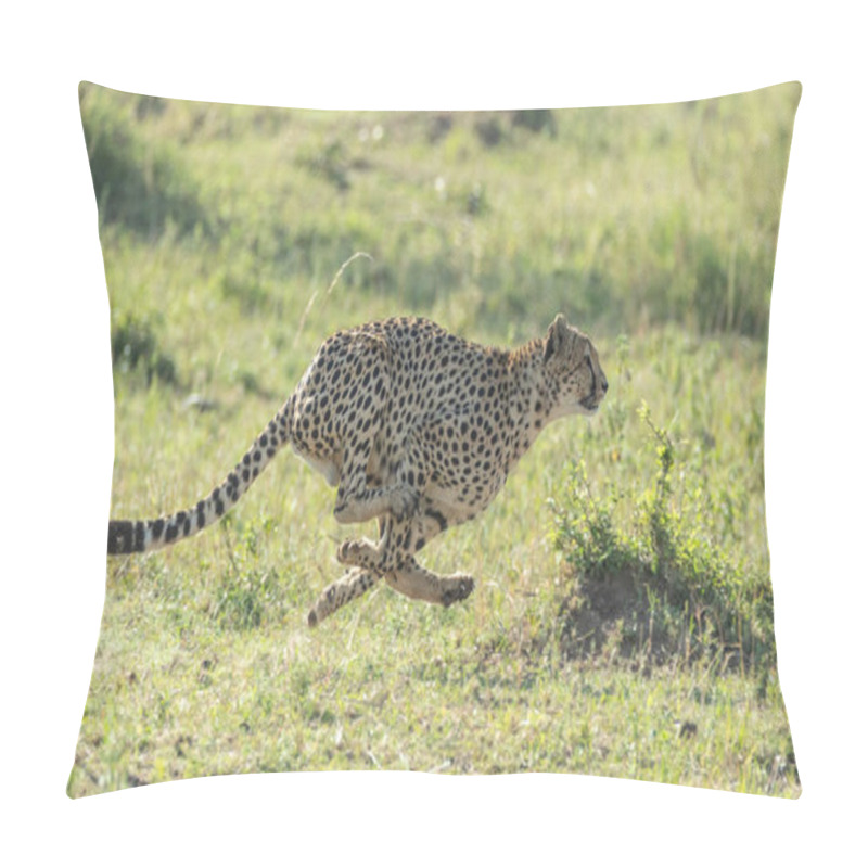 Personality  One Adult Cheetah Full Body Side View Running At Speed On A Sunny Day With Green Background In Masai Mara Kenya Pillow Covers