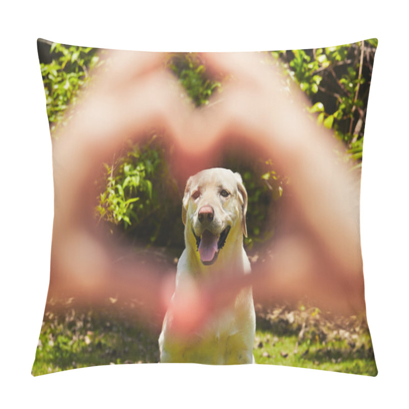 Personality  Loyalty Dog Pillow Covers