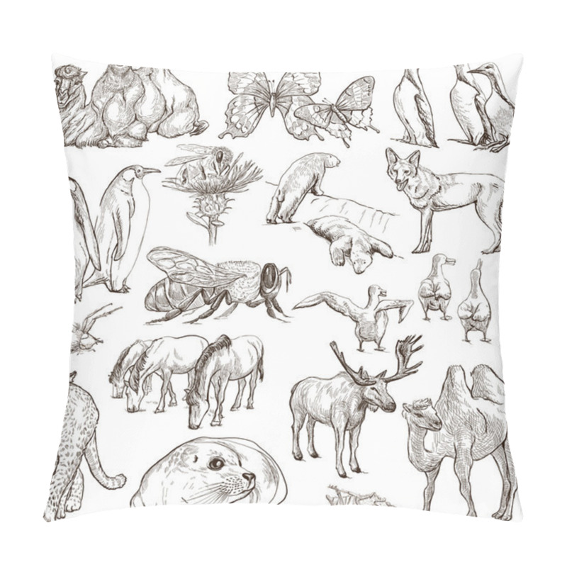 Personality  Animals - Freehand Sketches On White Pillow Covers