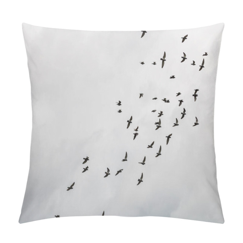 Personality  Many Pigeons Birds Flying In The Cloudy Sky Pillow Covers