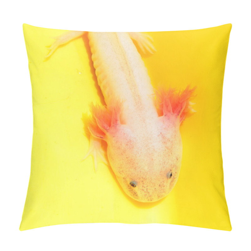 Personality  Axolotl Pillow Covers