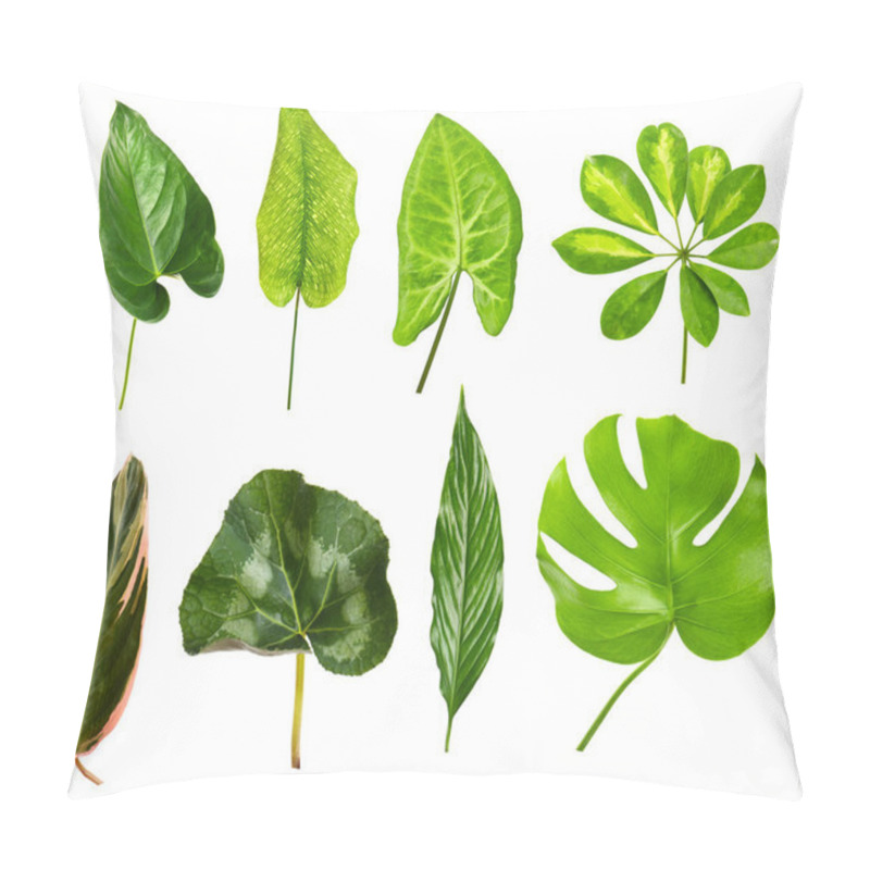 Personality  Different Houseplants Leaves Pillow Covers