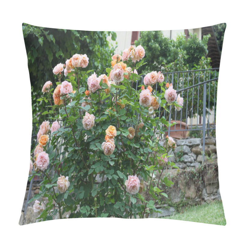 Personality  Beautiful Bush Full Of Yellow And Pink Roses In The Garden Yard Pillow Covers