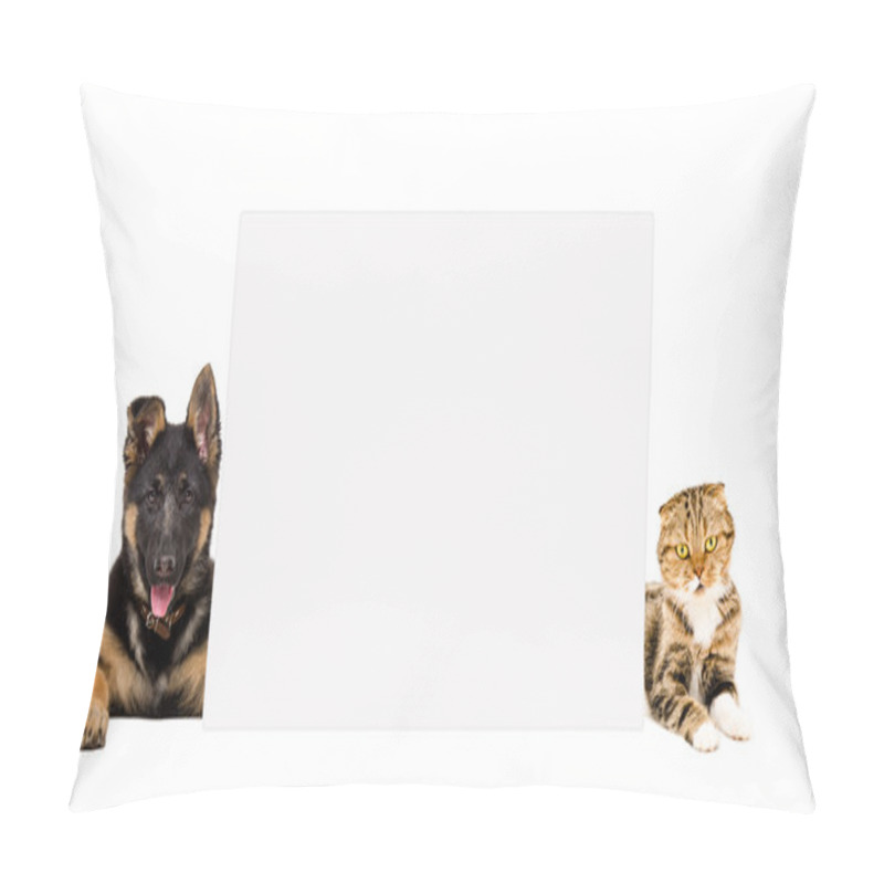 Personality  German Shepherd Puppy And Cat Scottish Fold Lying, Peeking From Behind Banner Pillow Covers